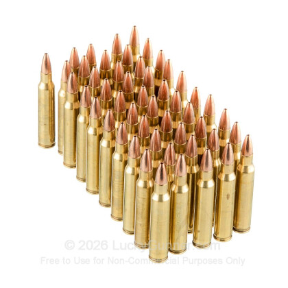 Large image of Bulk 223 Remington Ammo For Sale - 36 Grain Remanufactured Varmint Grenade HP Ammunition in Stock by Black Hills - 500 Rounds