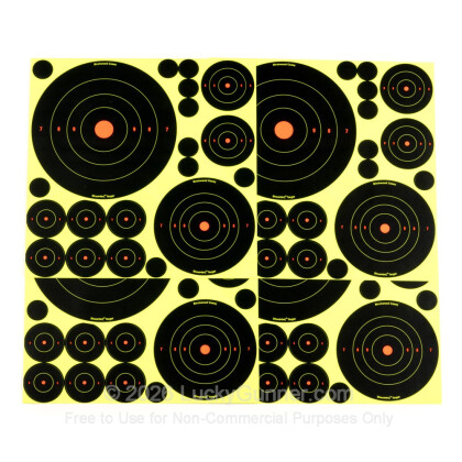 Large image of Shoot NC Targets For Sale - Shoot NC Deluxe Target Kit - Birchwood Casey Targets For Sale