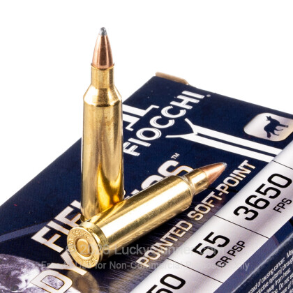 Large image of 22-250 Ammo For Sale - 55 gr PSP - Fiocchi Ammo Online