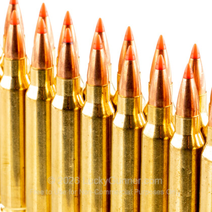 Image 5 of Hornady .223 Remington Ammo