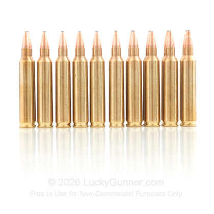 Image 8 of Hornady .204 Ruger Ammo