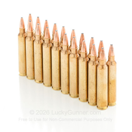 Image 11 of Hornady .204 Ruger Ammo