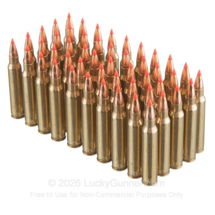 Large image of Bulk 223 Rem Ammo For Sale - 60 Grain V-MAX Ammunition in Stock by Black Hills Ammunition - 500 Rounds