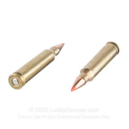 Large image of Bulk 223 Rem Ammo For Sale - 60 Grain V-MAX Ammunition in Stock by Black Hills Ammunition - 500 Rounds