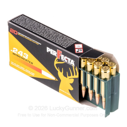 Large image of Cheap .243 Ammo For Sale - 100 Grain Soft Point Ammunition in Stock by Fiocchi Perfecta - 20 Rounds