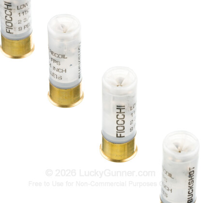 Large image of Bulk 12 Gauge Ammo For Sale - 2-3/4” 9 Pellets #1 Buckshot Ammunition in Stock by Fiocchi Low Recoil - 250 Rounds