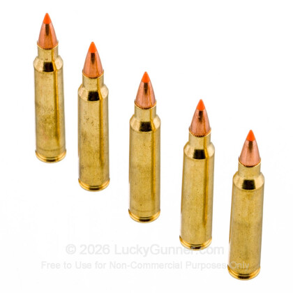 Image 4 of Federal .223 Remington Ammo
