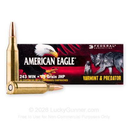 Image 2 of Federal .243 Winchester Ammo