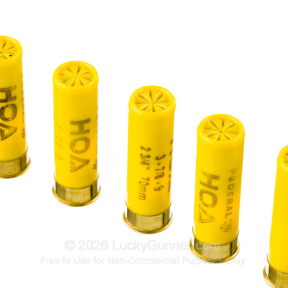 Image 5 of Federal 20 Gauge Ammo