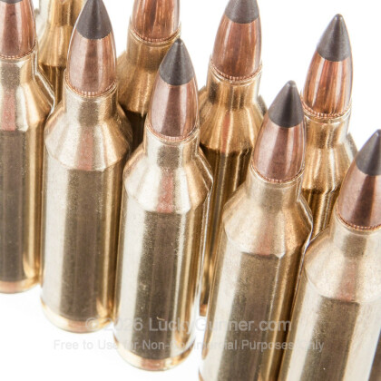 Image 5 of Winchester .243 Winchester Ammo