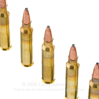 Image 4 of American Quality Ammunition 5.56x45mm Ammo