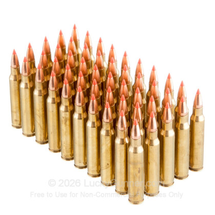 Large image of Bulk 223 Remington Ammo For Sale - 60 Grain Hornady V-Max Ammunition in Stock by Black Hills Remanufactured– 1000 Rounds