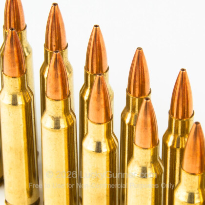 Image 5 of Buffalo Bore .223 Remington Ammo