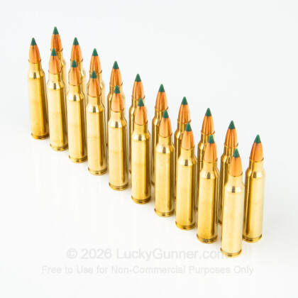 Image 4 of 223 Ammo from Buffalo Bore Image 4 of Buffalo Bore .223 Remington Ammo