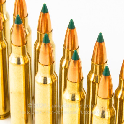 Image 5 of 223 Ammo from Buffalo Bore Image 5 of Buffalo Bore .223 Remington Ammo