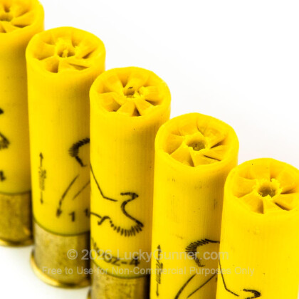 Image 5 of Winchester 20 Gauge Ammo