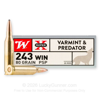 Image 1 of Winchester .243 Winchester Ammo
