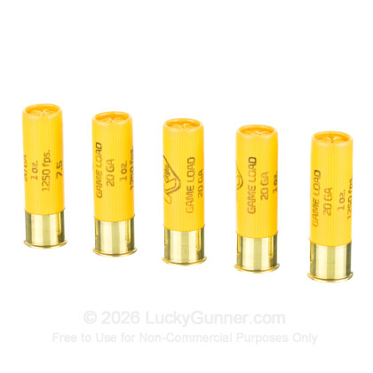 Image 4 of Rio Ammunition 20 Gauge Ammo