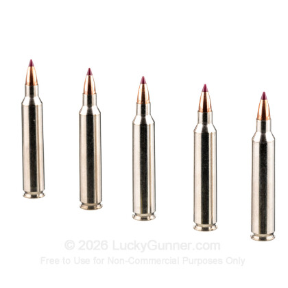 Image 4 of Federal .204 Ruger Ammo