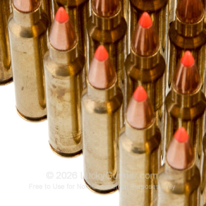 Large image of Cheap 223 Rem Ammo For Sale - 60 Grain Hornady V-MAX Ammunition in Stock by Black Hills Ammunition Remanufactured - 50 Rounds