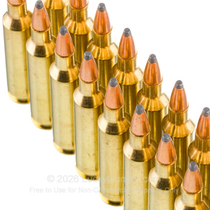 Image 5 of Aguila .22-250 Remington Ammo