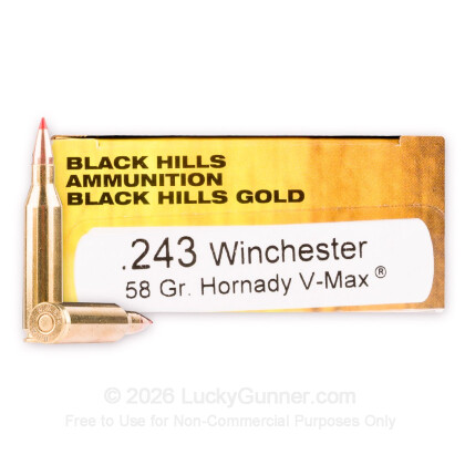 Large image of 243 Win Ammo - Black Hills Gold 58gr. V-Max Polymer Tip