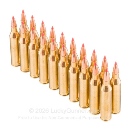 Large image of 243 Win Ammo - Black Hills Gold 58gr. V-Max Polymer Tip
