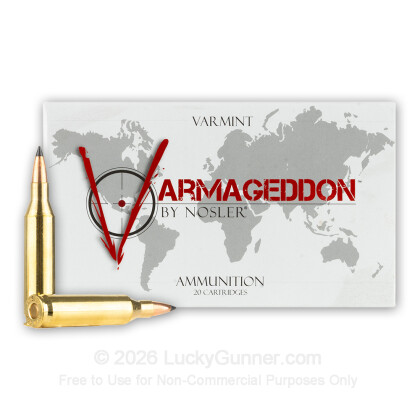 Large image of Premium 243 Ammo For Sale - 55 Grain FB Tipped Ammunition in Stock by Nosler Varmageddon - 20 Rounds