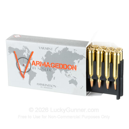 Large image of Premium 243 Ammo For Sale - 55 Grain FB Tipped Ammunition in Stock by Nosler Varmageddon - 20 Rounds