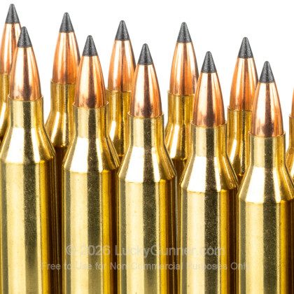 Large image of Premium 243 Ammo For Sale - 55 Grain FB Tipped Ammunition in Stock by Nosler Varmageddon - 20 Rounds