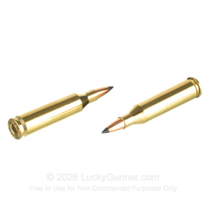 Large image of Premium 243 Ammo For Sale - 55 Grain FB Tipped Ammunition in Stock by Nosler Varmageddon - 20 Rounds