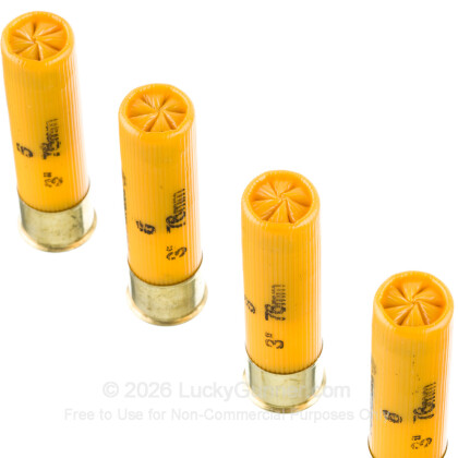 Image 5 of Federal 20 Gauge Ammo