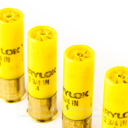 Image 4 of Winchester 20 Gauge Ammo