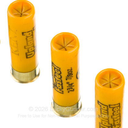Image 5 of Kent 20 Gauge Ammo