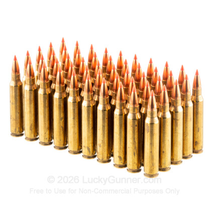 Large image of Bulk 223 Rem Ammo For Sale - 40 Grain V-MAX Ammunition in Stock by Black Hills Ammunition - 500 Rounds