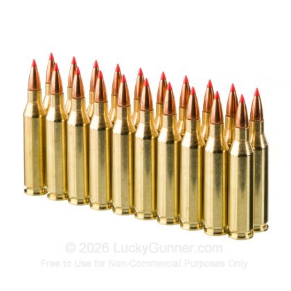 Large image of Hornady American Whitetail Tipped 243 Ammo For Sale - 95 Grain SST - 20 Rounds