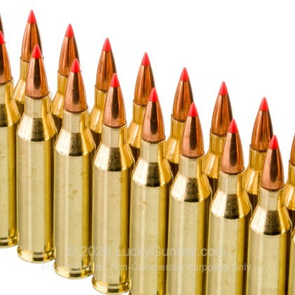 Large image of Hornady American Whitetail Tipped 243 Ammo For Sale - 95 Grain SST - 20 Rounds