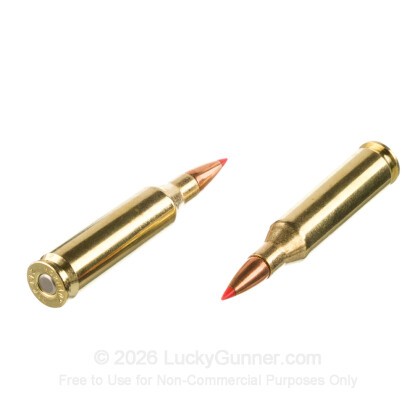 Large image of Hornady American Whitetail Tipped 243 Ammo For Sale - 95 Grain SST - 20 Rounds