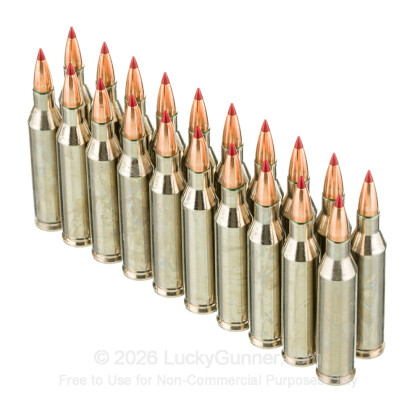 Image 4 of Hornady .243 Winchester Ammo
