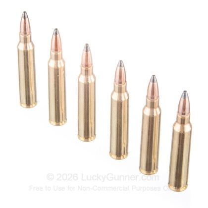 Image 4 of PMC .223 Remington Ammo