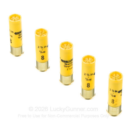 Image 4 of Challenger 20 Gauge Ammo