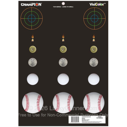 Large image of VisiColor Fun and Games Targets For Sale - 12 - 18" x 13" Targets - Champion Targets For Sale