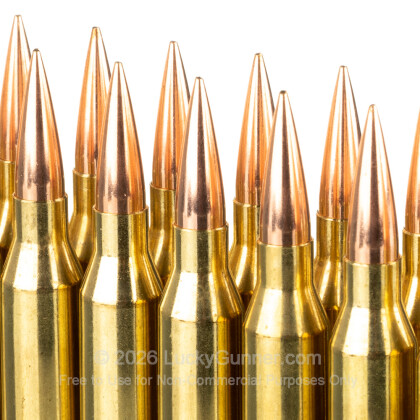 Image 5 of Nosler Ammunition .260 Remington Ammo