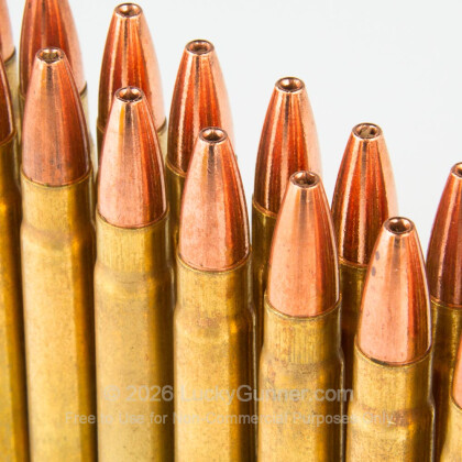 Image 5 of 375 H&H Magnum from Buffalo Bore Image 5 of Buffalo Bore .375 H&H Magnum Ammo