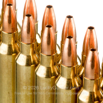 Image 5 of 204 Ruger Ammo from Nosler Ammunition Image 5 of Nosler Ammunition .204 Ruger Ammo