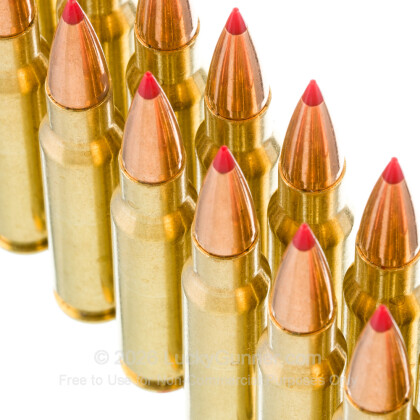 Large image of Premium 308 Ammo For Sale - 150 Grain CX Ammunition in Stock by Black Hills Gold - 100 Rounds