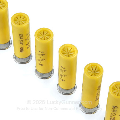 Image 5 of Remington 20 Gauge Ammo