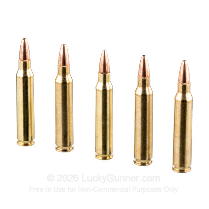 Image 4 of Federal .223 Remington Ammo