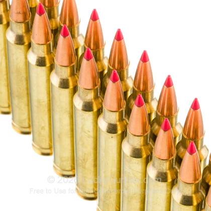 Large image of Premium 300 Winchester Magnum Ammo For Sale - 200 Grain ELD-X Ammunition in Stock by Black Hills Gold - 20 Rounds