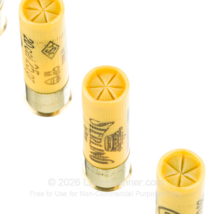 Image 5 of Sterling 20 Gauge Ammo